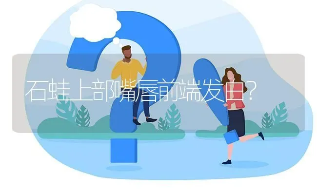 石蛙上部嘴唇前端发白? | 养殖问题解答