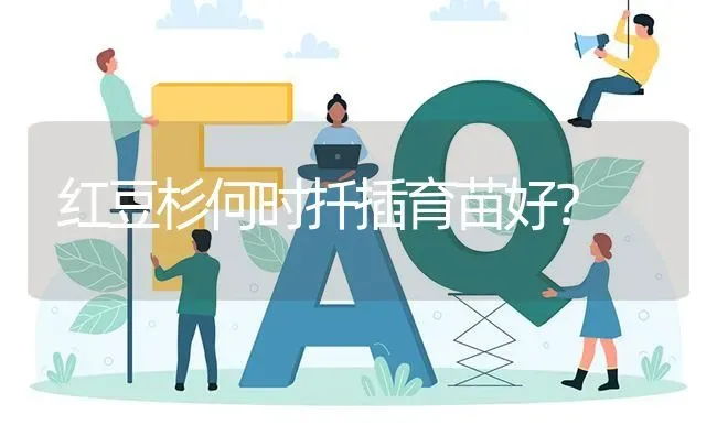 红豆杉何时扦插育苗好? | 养殖问题解答