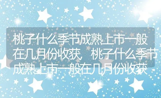 桃子什么季节成熟上市一般在几月份收获,桃子什么季节成熟上市一般在几月份收获 | 养殖常见问题