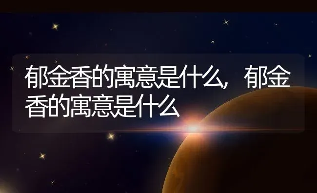 郁金香的寓意是什么,郁金香的寓意是什么 | 养殖常见问题