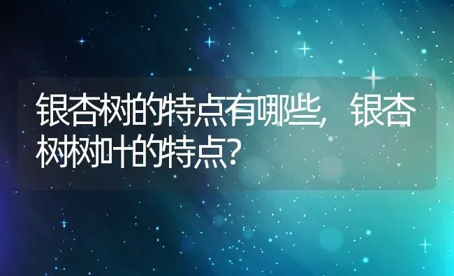 银杏树的特点有哪些,银杏树树叶的特点？ | 养殖常见问题