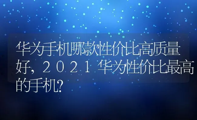 华为手机哪款性价比高质量好,2021华为性价比最高的手机？ | 养殖常见问题