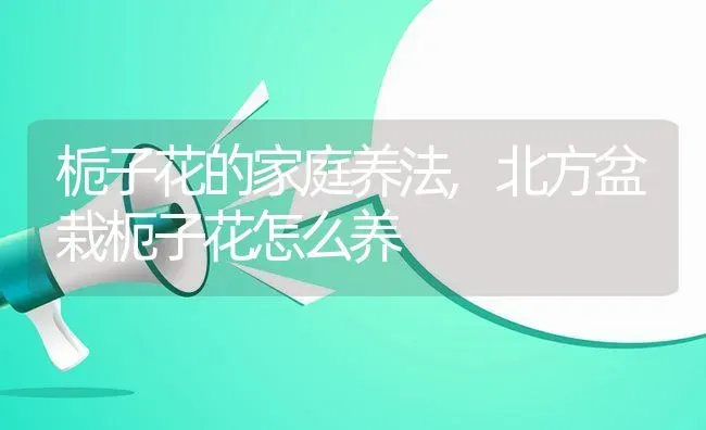 栀子花的家庭养法,北方盆栽枙子花怎么养 | 养殖常见问题