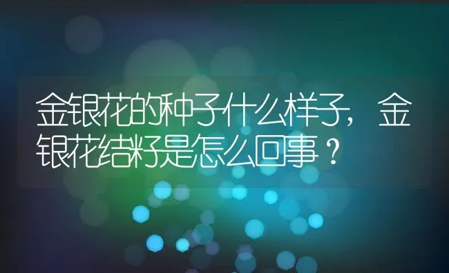 金银花的种子什么样子,金银花结籽是怎么回事？ | 养殖常见问题