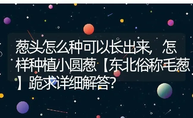 葱头怎么种可以长出来,怎样种植小圆葱【东北俗称毛葱】跪求详细解答？ | 养殖常见问题