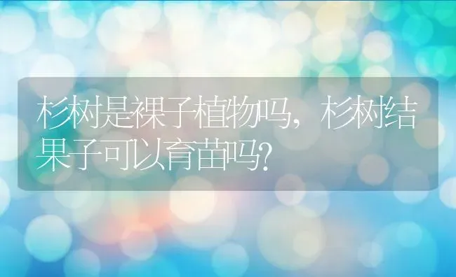 杉树是裸子植物吗,杉树结果子可以育苗吗？ | 养殖常见问题