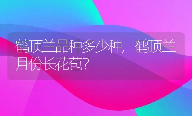 鹤顶兰品种多少种,鹤顶兰月份长花苞？ | 养殖常见问题