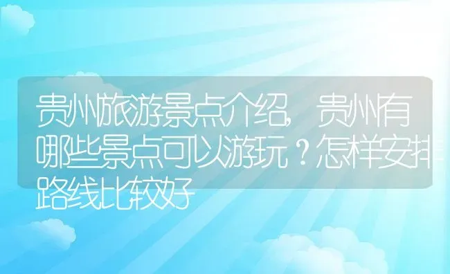 贵州旅游景点介绍,贵州有哪些景点可以游玩？怎样安排路线比较好 | 养殖常见问题