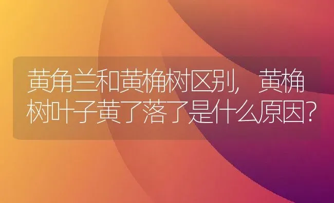 黄角兰和黄桷树区别,黄桷树叶子黄了落了是什么原因？ | 养殖常见问题