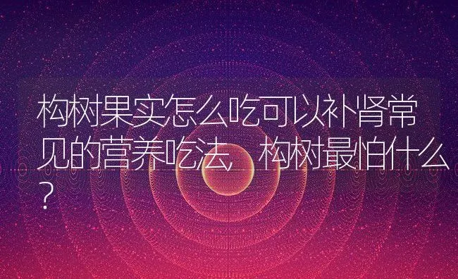 构树果实怎么吃可以补肾常见的营养吃法,构树最怕什么？ | 养殖常见问题