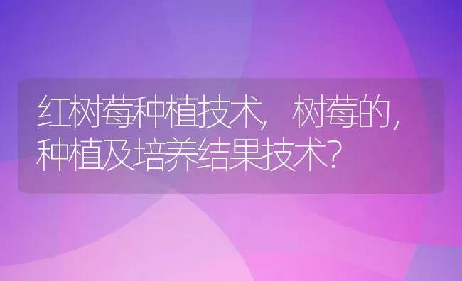 红树莓种植技术,树莓的，种植及培养结果技术？ | 养殖常见问题