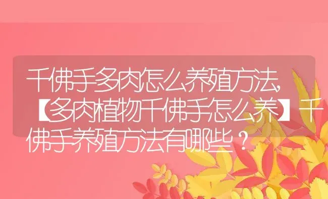 千佛手多肉怎么养殖方法,【多肉植物千佛手怎么养】千佛手养殖方法有哪些？ | 养殖常见问题