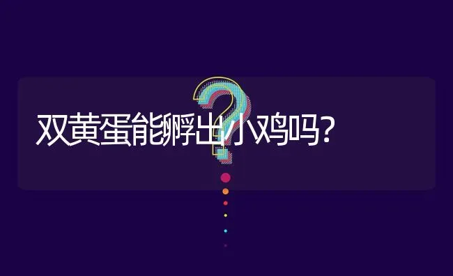 双黄蛋能孵出小鸡吗? | 养殖问题解答