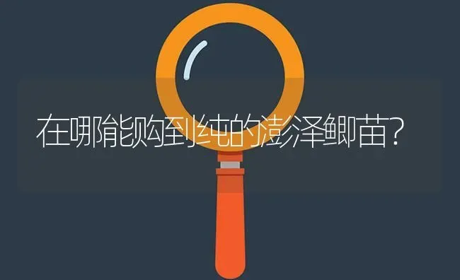 在哪能购到纯的澎泽鲫苗? | 养殖问题解答