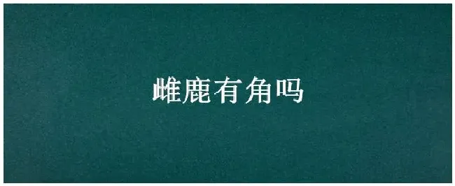 雌鹿有角吗 | 农业常识