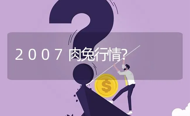 2007肉兔行情? | 养殖问题解答