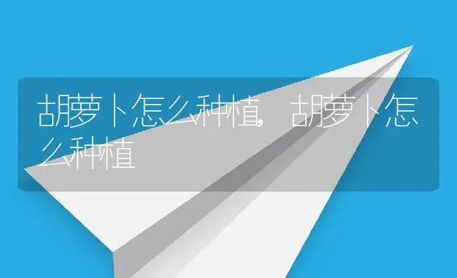 胡萝卜怎么种植,胡萝卜怎么种植 | 养殖常见问题