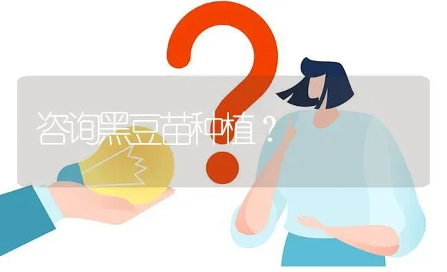 咨询黑豆苗种植? | 养殖问题解答