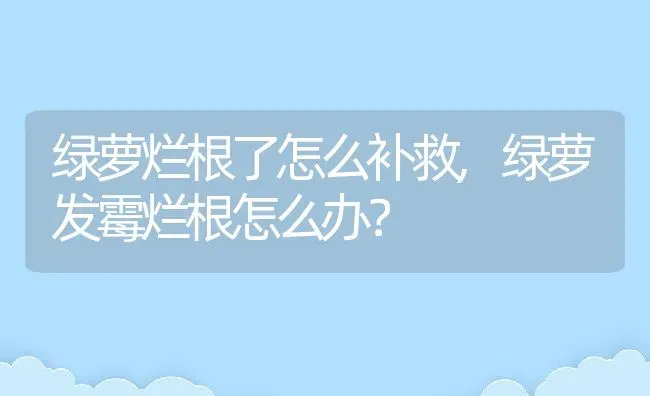 绿萝烂根了怎么补救,绿萝发霉烂根怎么办？ | 养殖常见问题