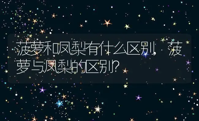 菠萝和凤梨有什么区别,菠萝与凤梨的区别？ | 养殖常见问题