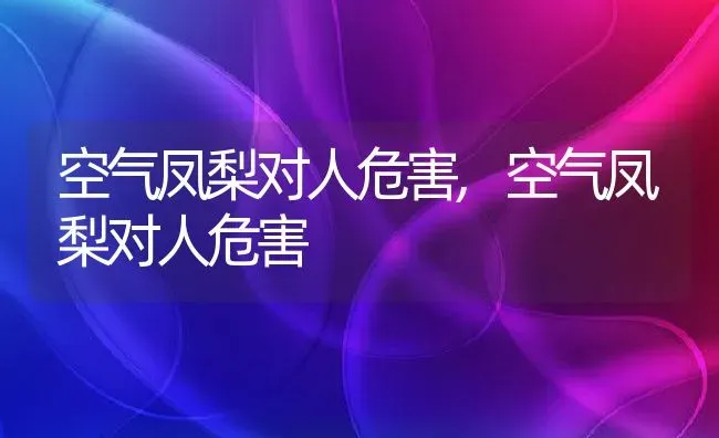 空气凤梨对人危害,空气凤梨对人危害 | 养殖常见问题