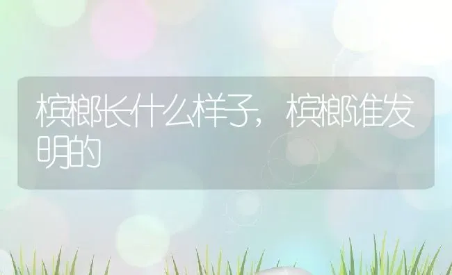 槟榔长什么样子,槟榔谁发明的 | 养殖常见问题
