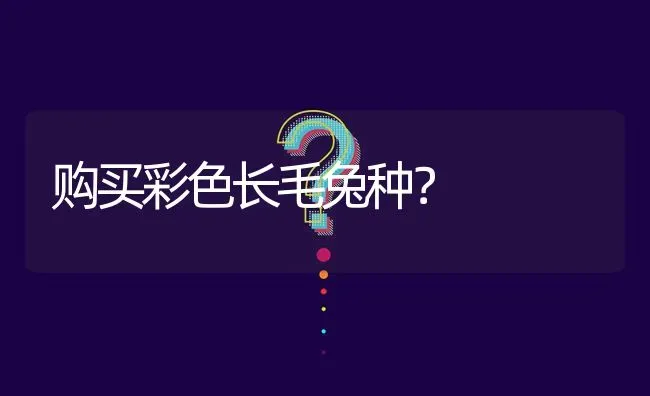 购买彩色长毛兔种? | 养殖问题解答