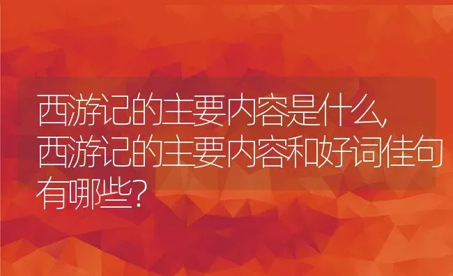 西游记的主要内容是什么,西游记的主要内容和好词佳句有哪些？ | 养殖常见问题