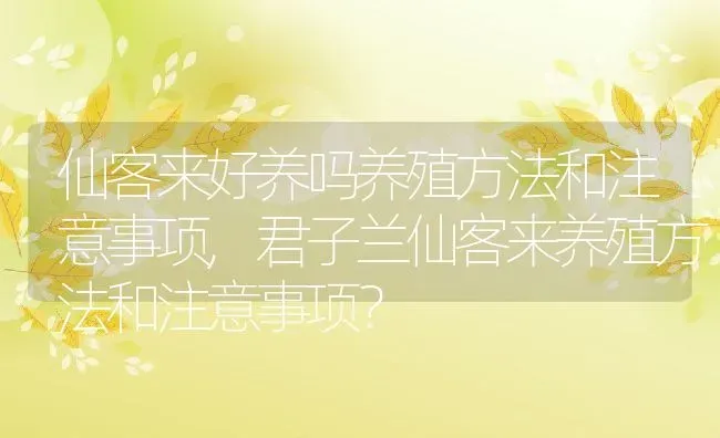 仙客来好养吗养殖方法和注意事项,君子兰仙客来养殖方法和注意事项？ | 养殖常见问题