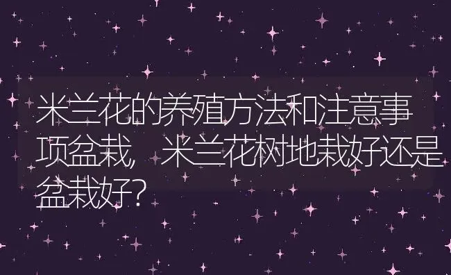 米兰花的养殖方法和注意事项盆栽,米兰花树地栽好还是盆栽好？ | 养殖常见问题