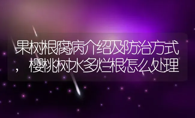 果树根腐病介绍及防治方式,樱桃树水多烂根怎么处理 | 养殖常见问题