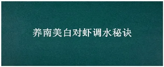 养南美白对虾调水秘诀 | 科普知识