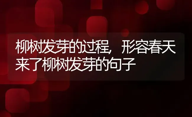 柳树发芽的过程,形容春天来了柳树发芽的句子 | 养殖常见问题