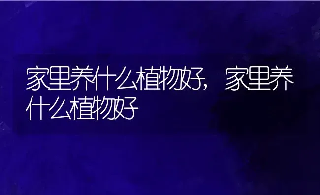 家里养什么植物好,家里养什么植物好 | 养殖常见问题