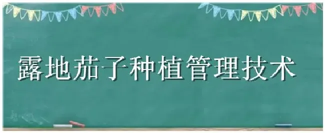 露地茄子种植管理技术 | 生活常识