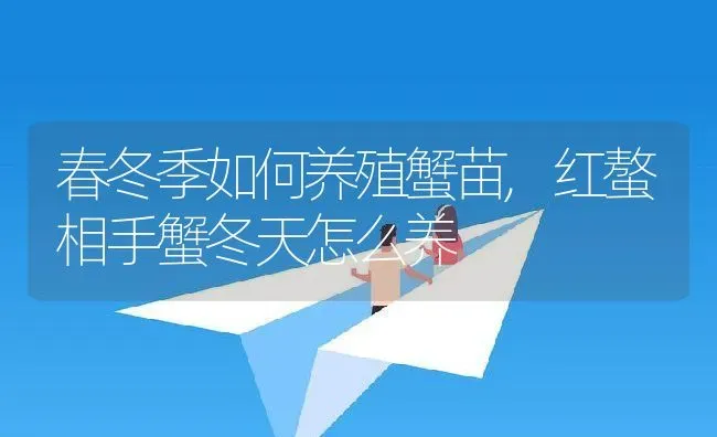 春冬季如何养殖蟹苗,红螯相手蟹冬天怎么养 | 养殖常见问题