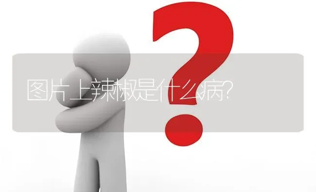 图片上辣椒是什么病? | 养殖问题解答