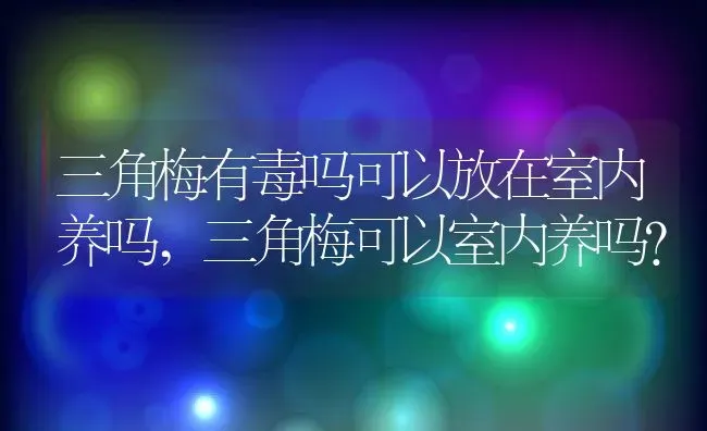 三角梅有毒吗可以放在室内养吗,三角梅可以室内养吗？ | 养殖常见问题