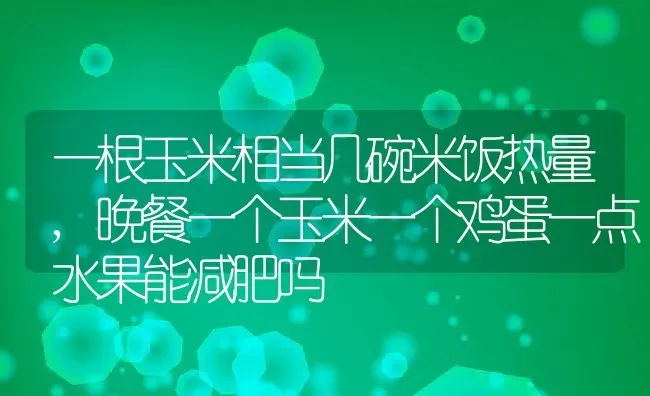 一根玉米相当几碗米饭热量,晚餐一个玉米一个鸡蛋一点水果能减肥吗 | 养殖常见问题