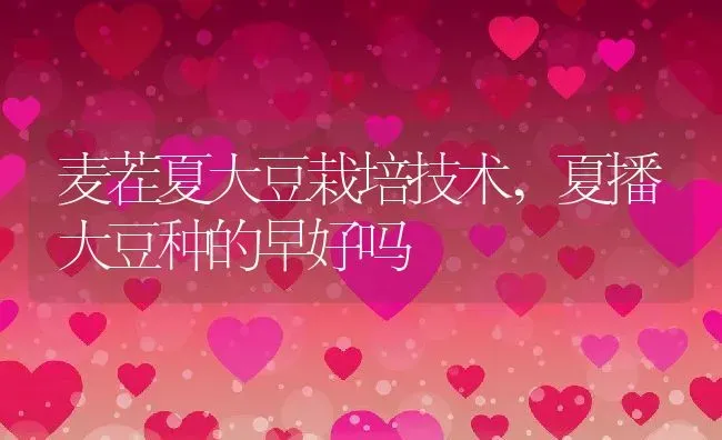 麦茬夏大豆栽培技术,夏播大豆种的早好吗 | 养殖常见问题