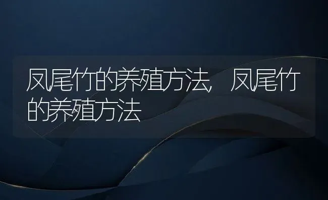 凤尾竹的养殖方法,凤尾竹的养殖方法 | 养殖常见问题