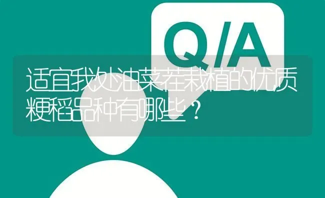 适宜我处油菜茬栽植的优质粳稻品种有哪些? | 养殖问题解答