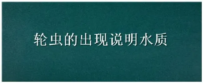 轮虫的出现说明水质 | 生活常识