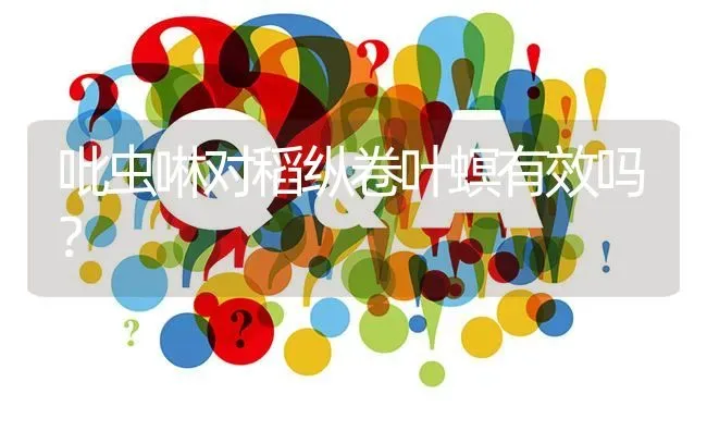 吡虫啉对稻纵卷叶螟有效吗? | 养殖问题解答