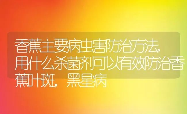 香蕉主要病虫害防治方法,用什么杀菌剂可以有效防治香蕉叶斑，黑星病 | 养殖常见问题