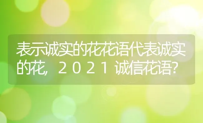 表示诚实的花花语代表诚实的花,2021诚信花语？ | 养殖常见问题