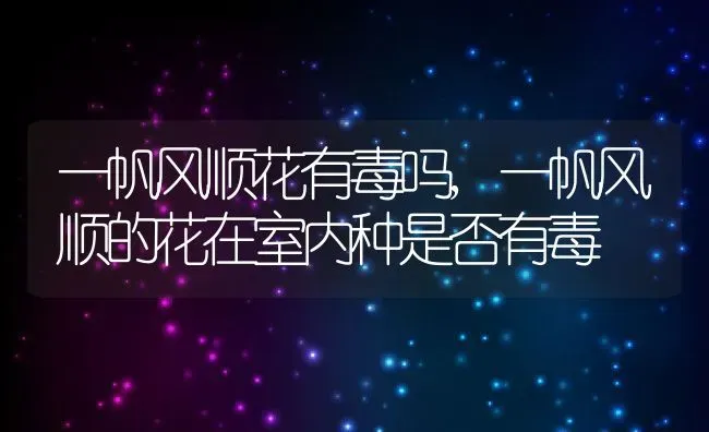 一帆风顺花有毒吗,一帆风顺的花在室内种是否有毒 | 养殖常见问题