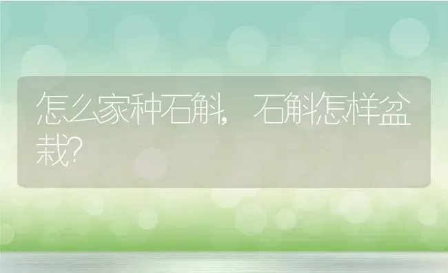 怎么家种石斛,石斛怎样盆栽？ | 养殖常见问题