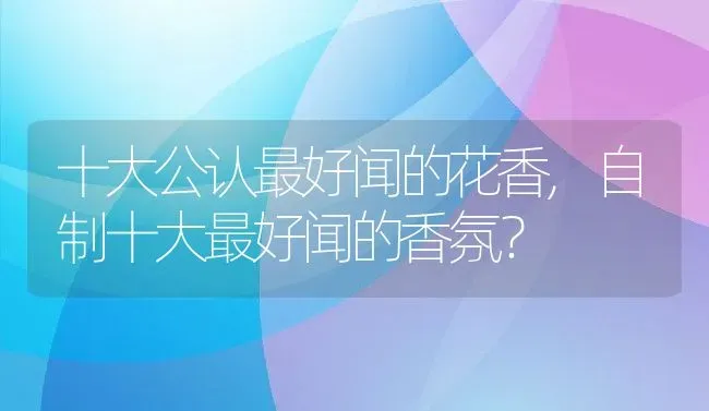 十大公认最好闻的花香,自制十大最好闻的香氛？ | 养殖常见问题