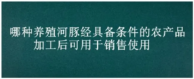 哪种养殖河豚经具备条件的农产品加工后可用于销售使用 | 三农答疑